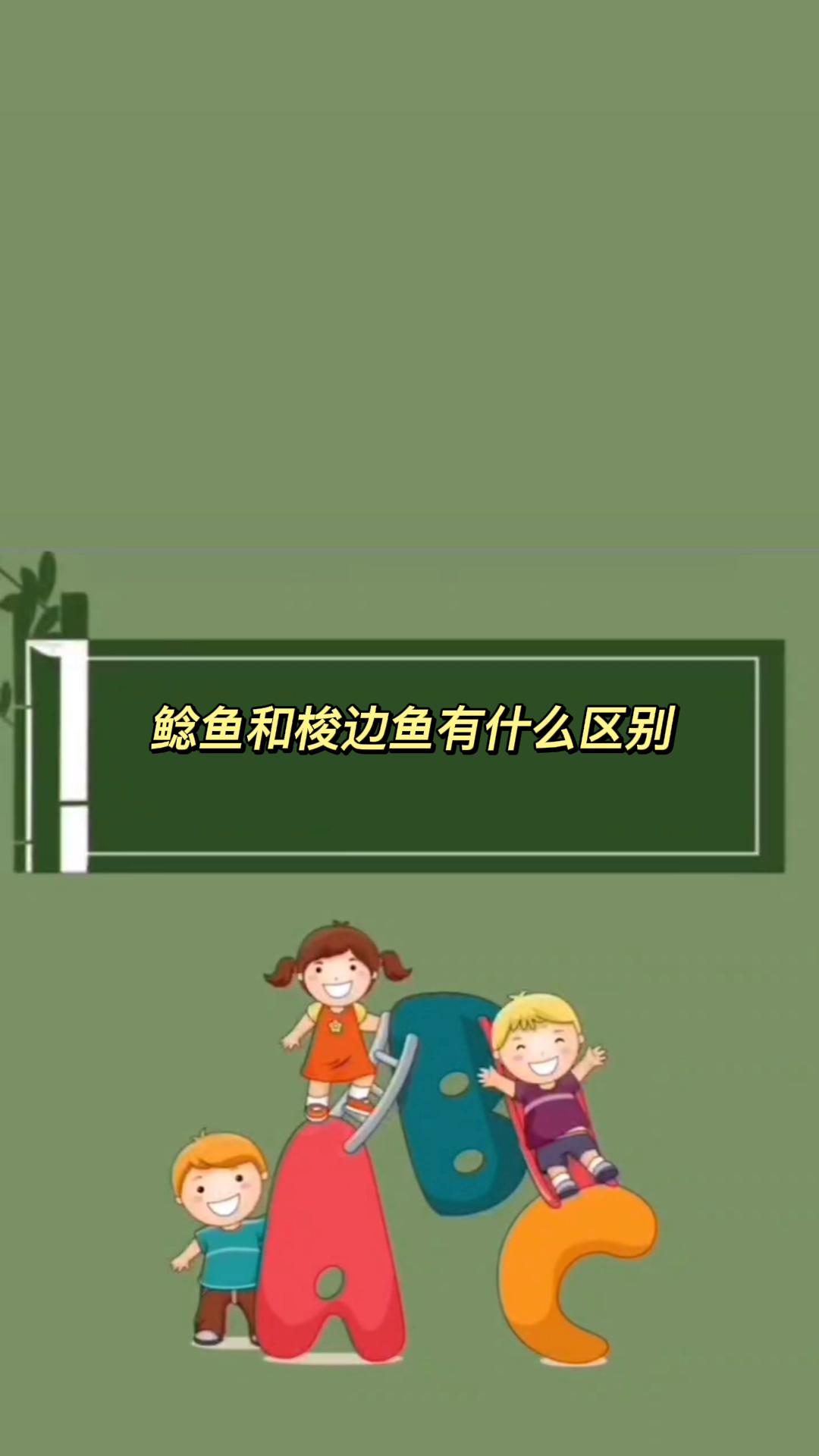 鲶鱼和梭边鱼有什么区别