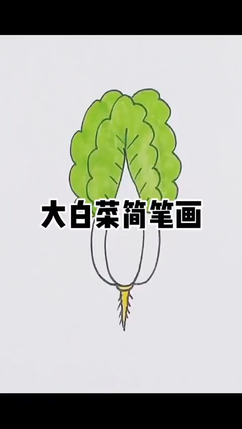 大白菜手绘简笔画,白白胖胖,可可爱爱～你学会了吗?