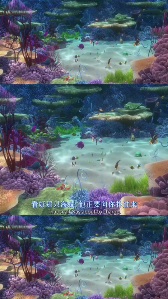 #搞笑段子#海底总动员:什么鱼那么奇怪呢?让自己宝宝住在嘴巴里,真有趣