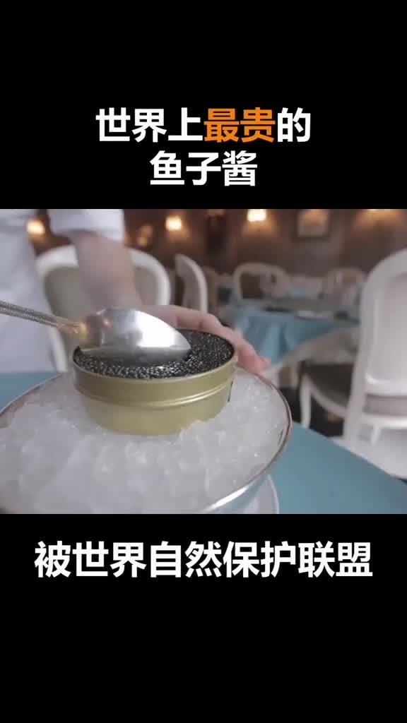 世界上最贵的鱼子酱你吃过吗