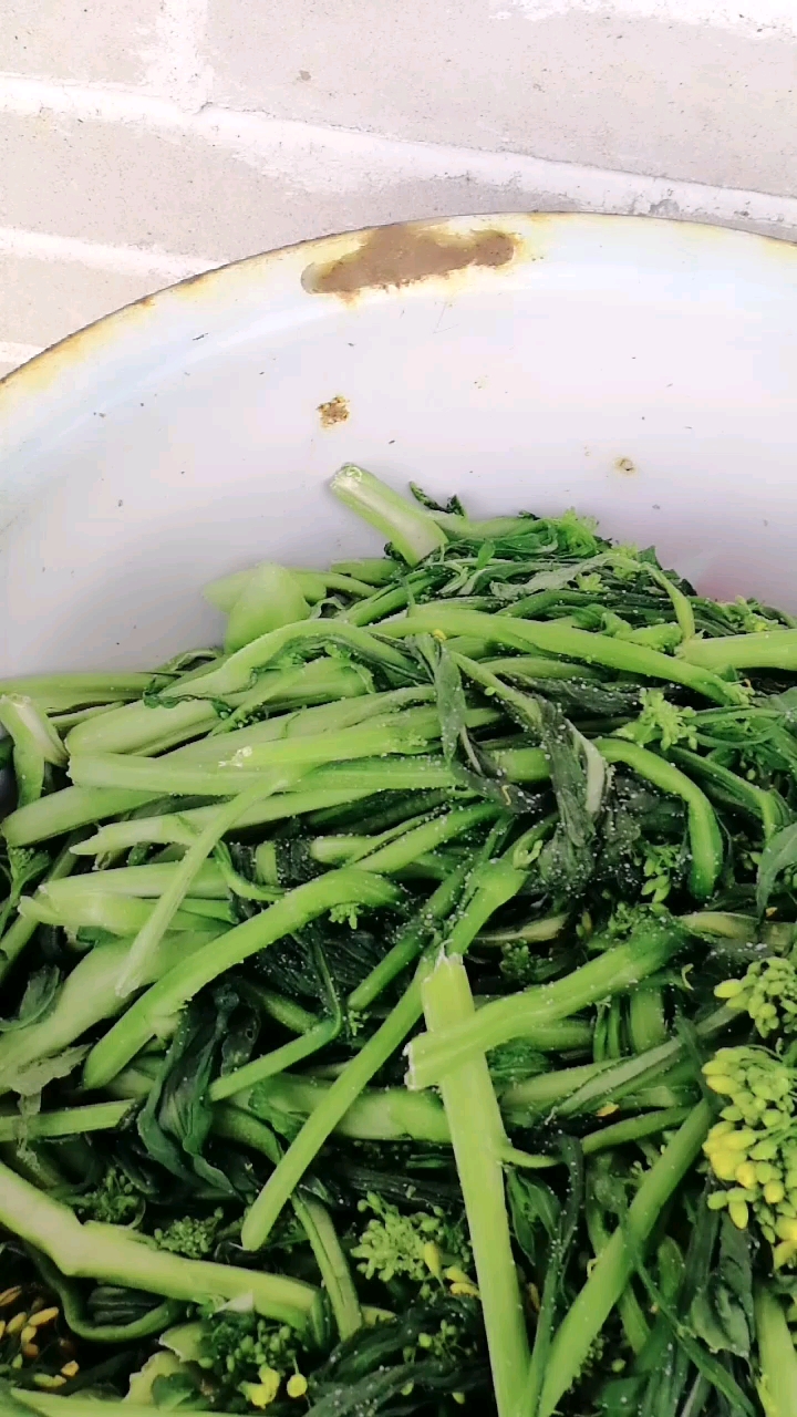 油菜花也可以晒干来吃,可好吃了