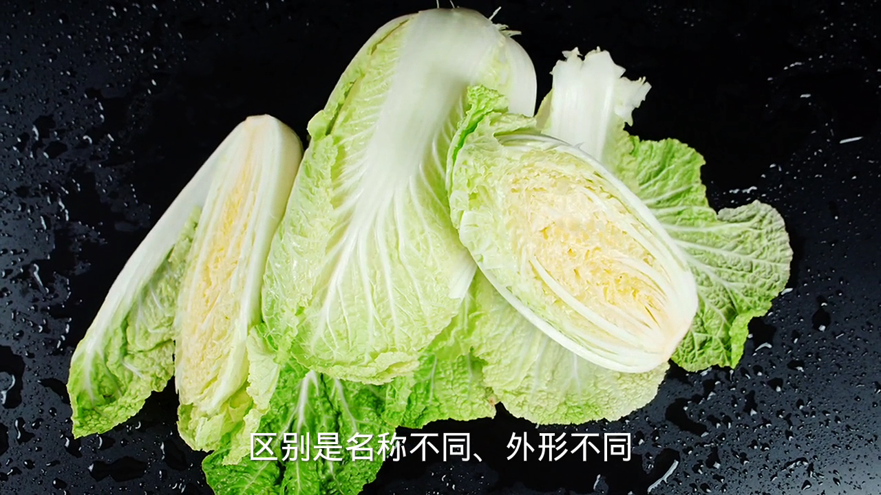 龙牙菜和白菜有什么区别?