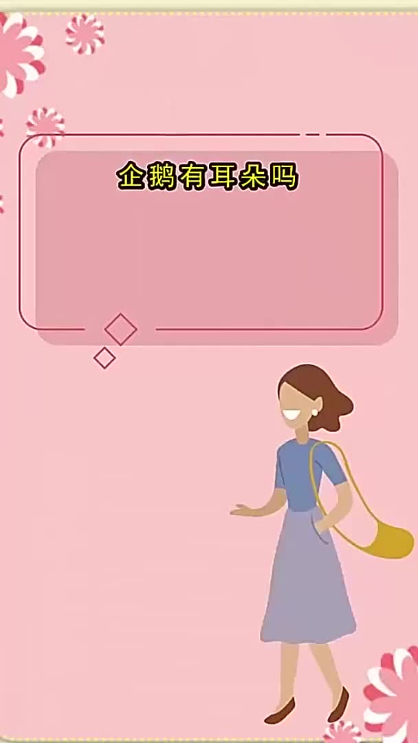 企鹅有耳朵吗,你听懂了吗