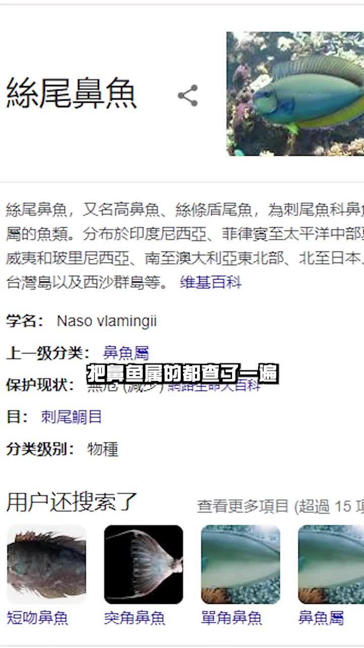 西沙钓上的怪物,应该是鼻鱼,但是查了一圈资料有点像,但是又有一些区别,这具体是啥鱼啊?