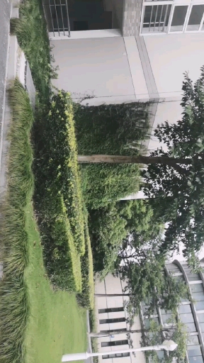 #带上全民去旅行#开学了  又从起点开始