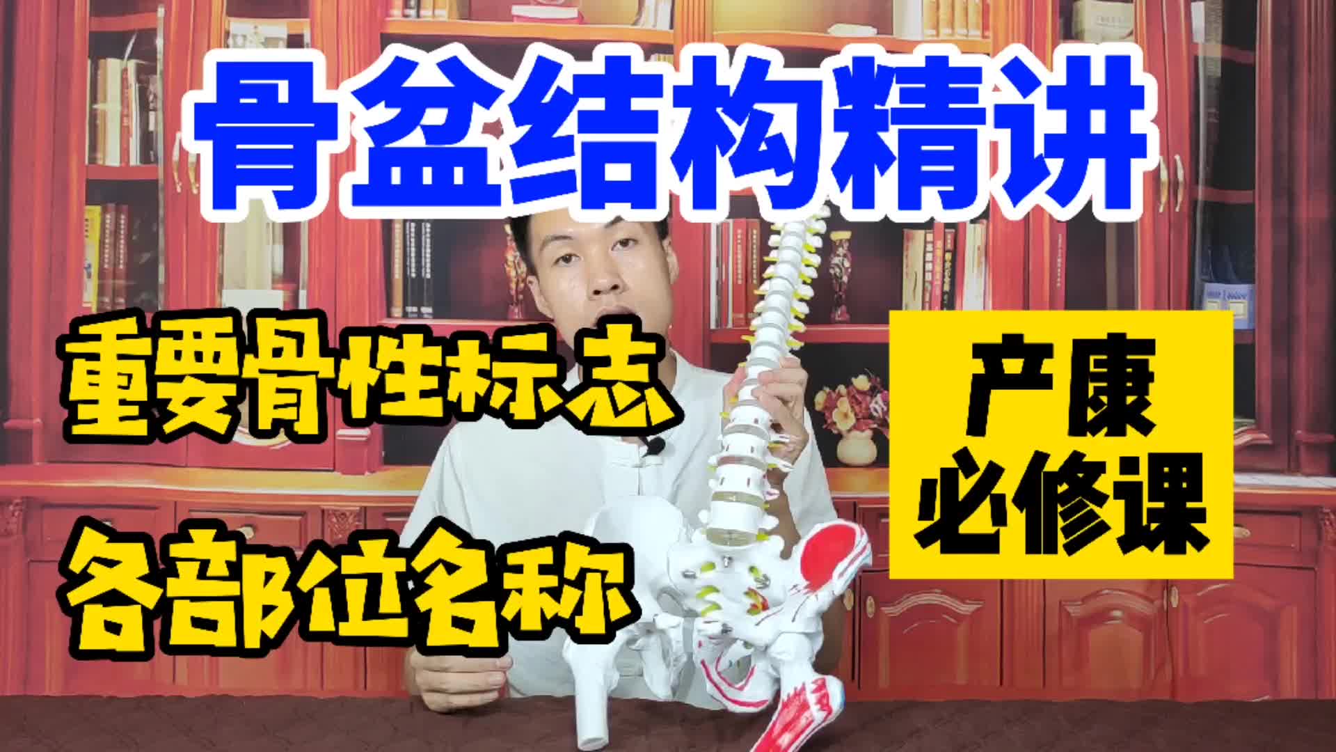 骨盆结构精讲 骨盆各部位名称、重要骨性标志讲解 产后修复必修课