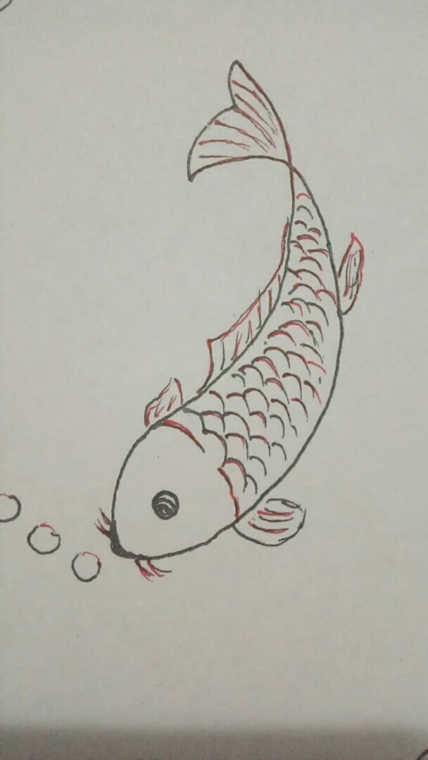 画鱼