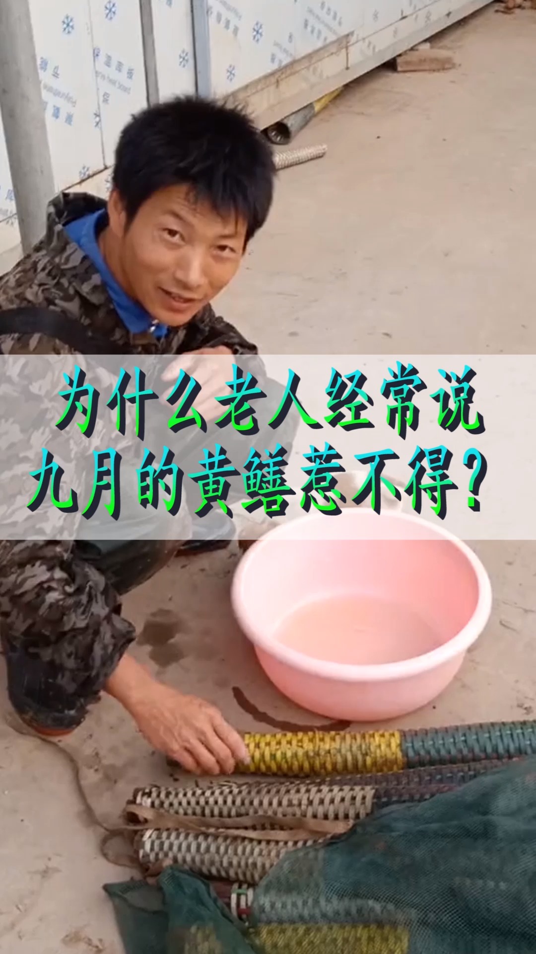 为什么老人经常会说,九月的黄鳝千万不能惹?