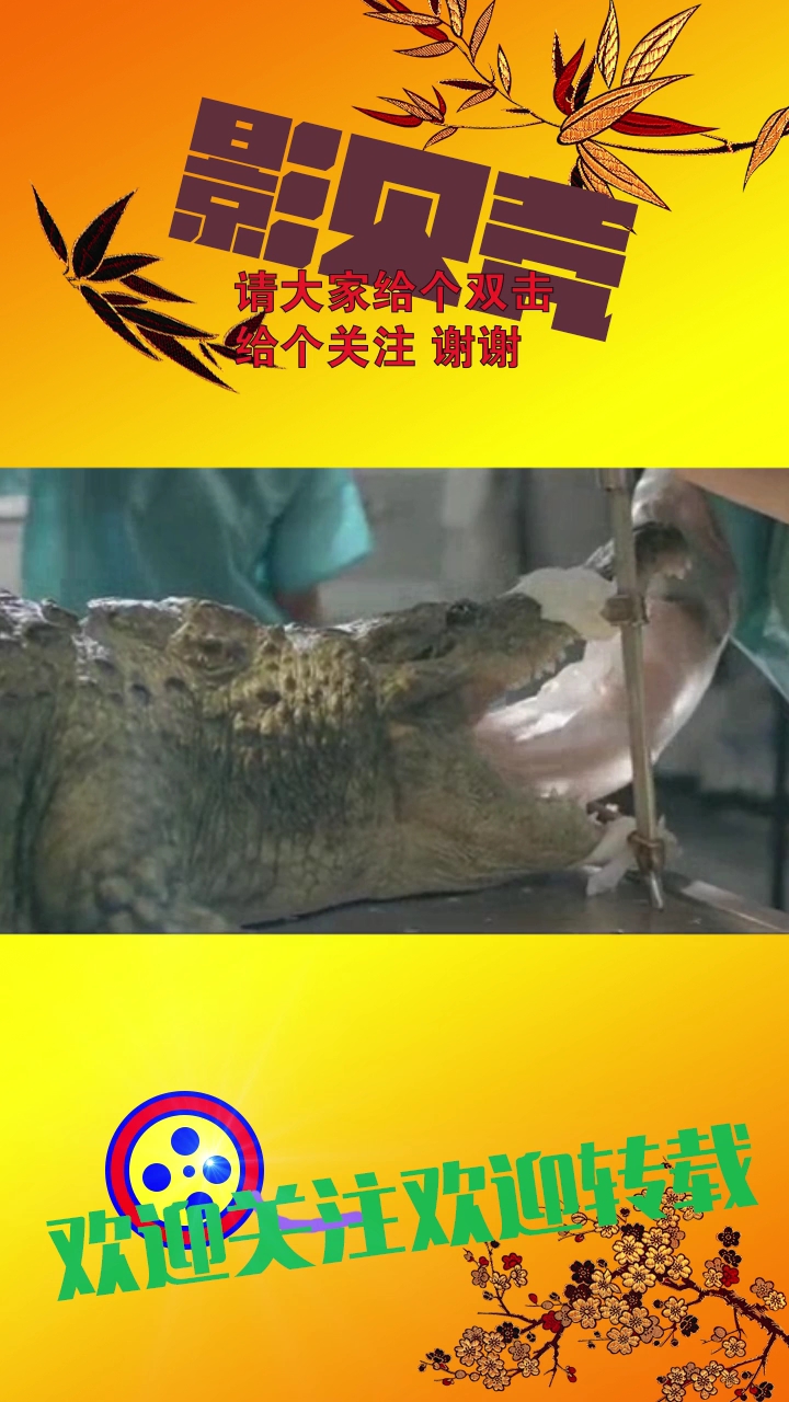 大鳄鱼