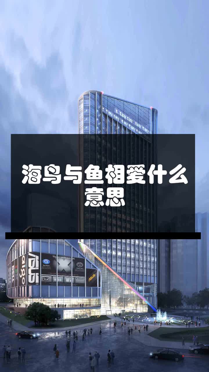 海鸟与鱼相爱什么意思