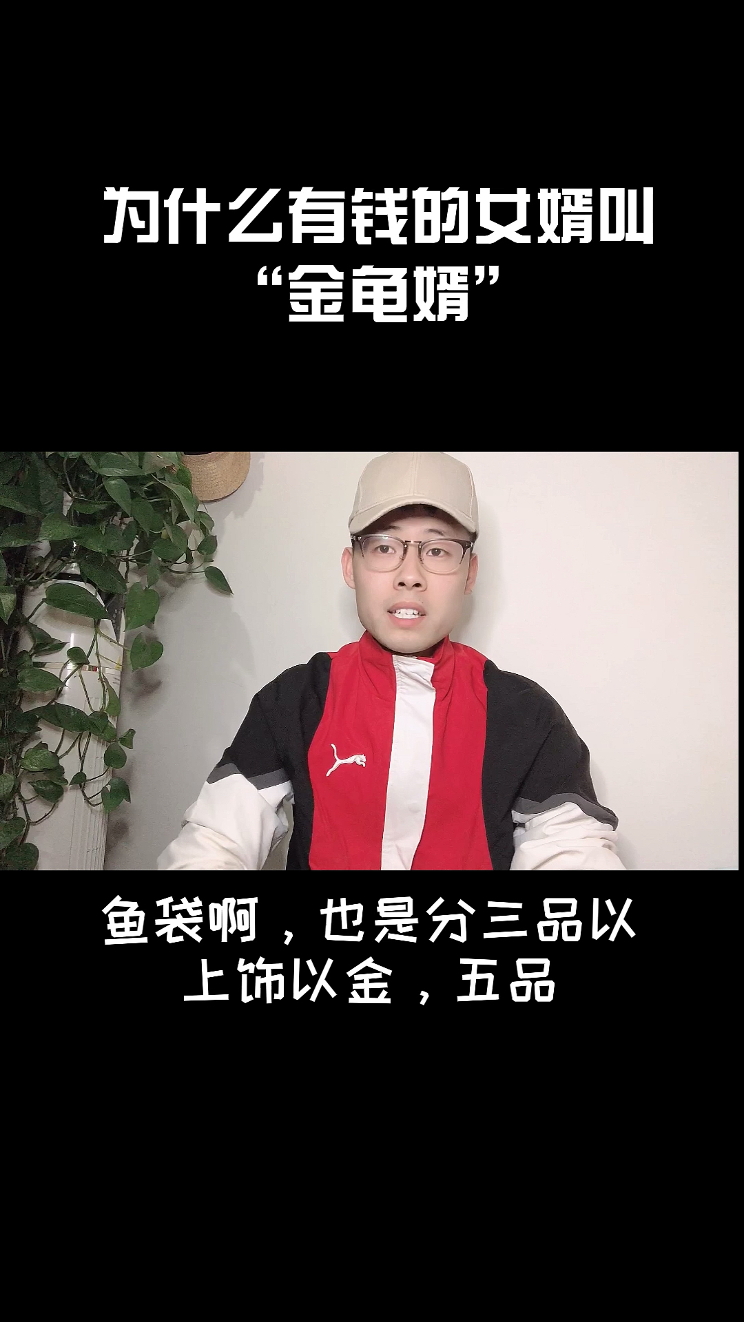 #每天一点冷知识#小姐姐你们想找“金龟婿”吗? 评论区留言,我给你解决!