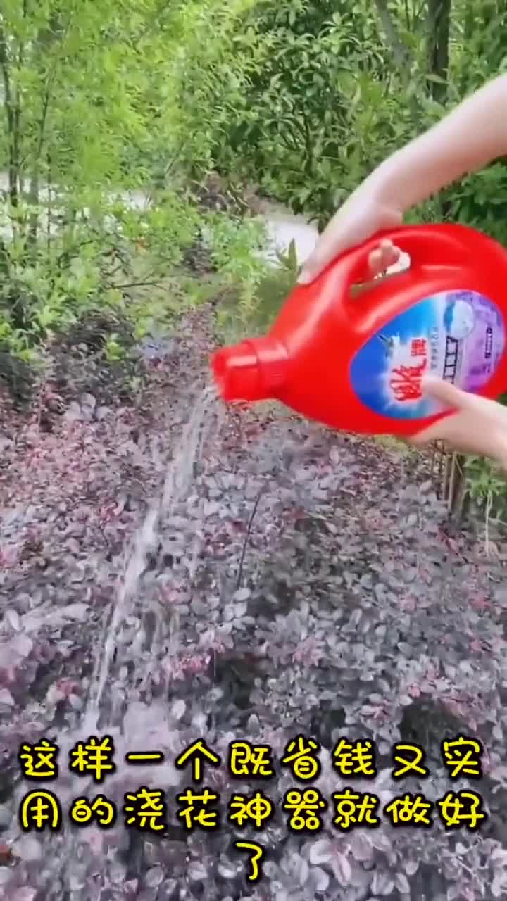 变废为宝环保省钱,洗衣液桶不要扔瞬间变浇花壶,掉根头发都不敢丢怕损失