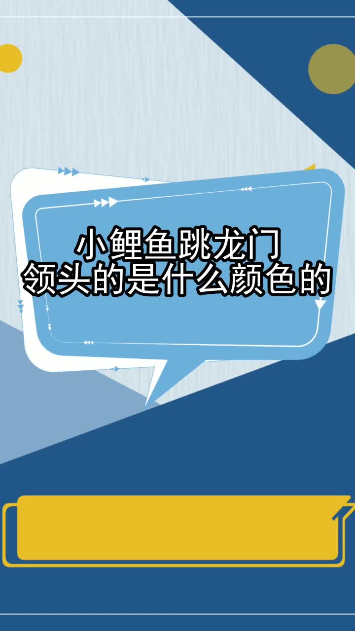 小鲤鱼跳龙门领头的是什么颜色的,你了解了吗