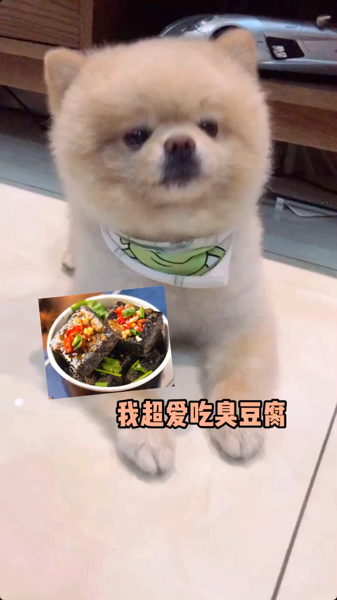 #搞笑神转折#大家喜欢吃臭豆腐吗