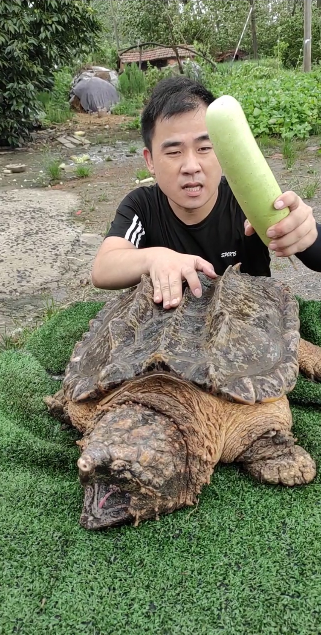 分享视频