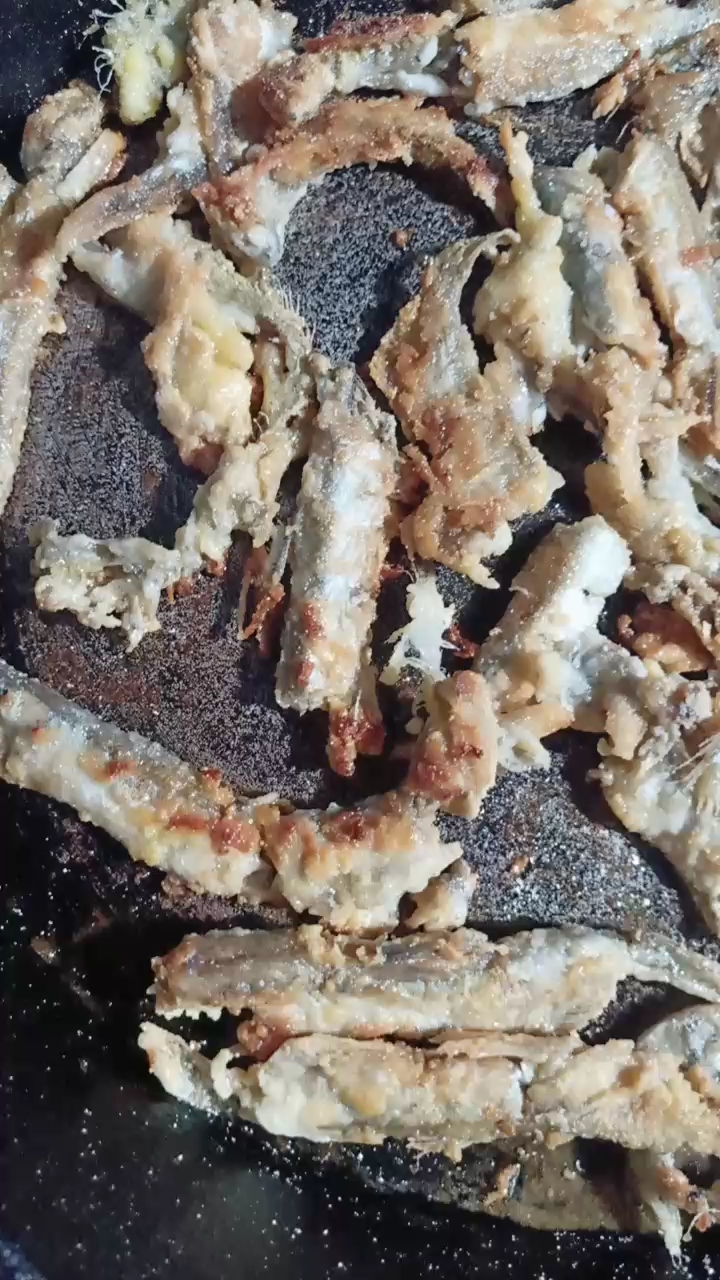 柳叶鱼