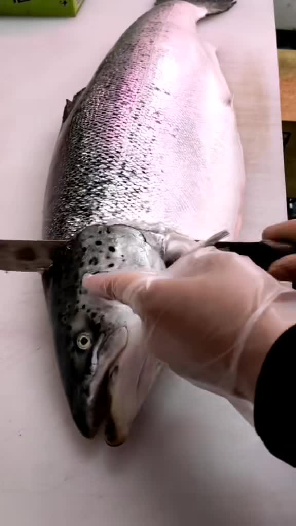 #风味人间#整条三文鱼分割制作,喜欢三文鱼的,点开头像