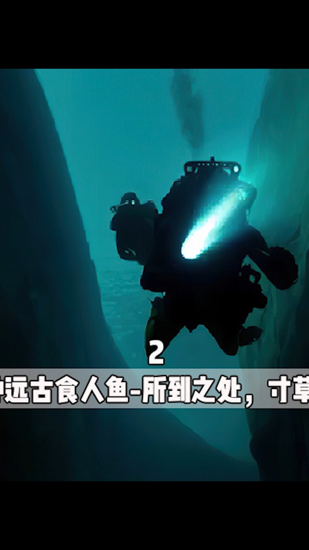 #电影解说#远古时期的食人鱼,所到之处,寸草不生!