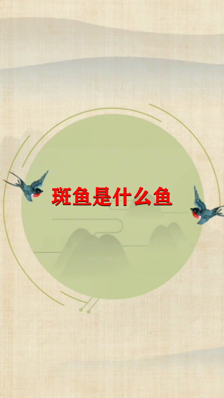 斑鱼是什么鱼 