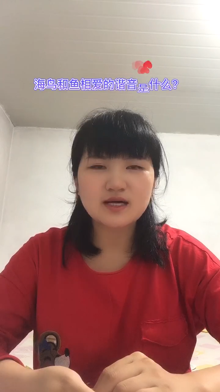 海鸟和鱼相爱的谐音是什么?