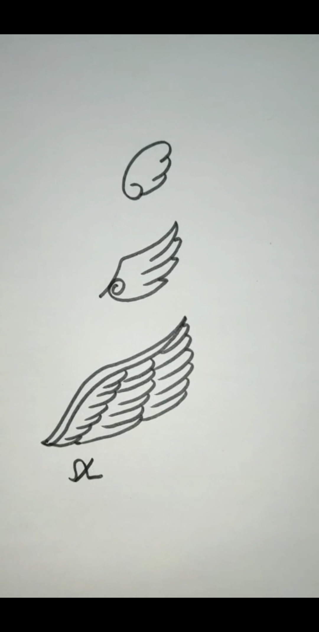 #音为有你##简笔画  翅膀有简单到复杂