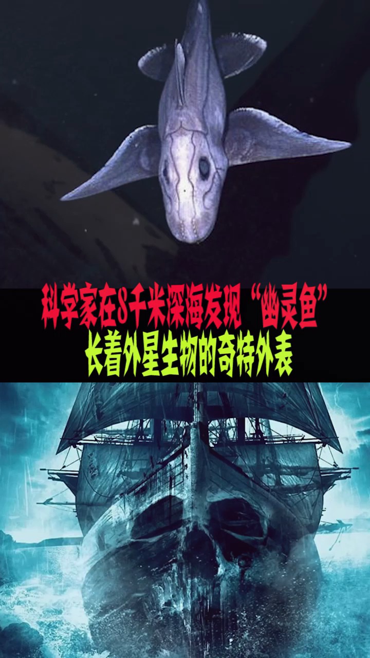 #知识来了#科学家在8千米深海发现“幽灵鱼”,长着外星生物的奇特外表