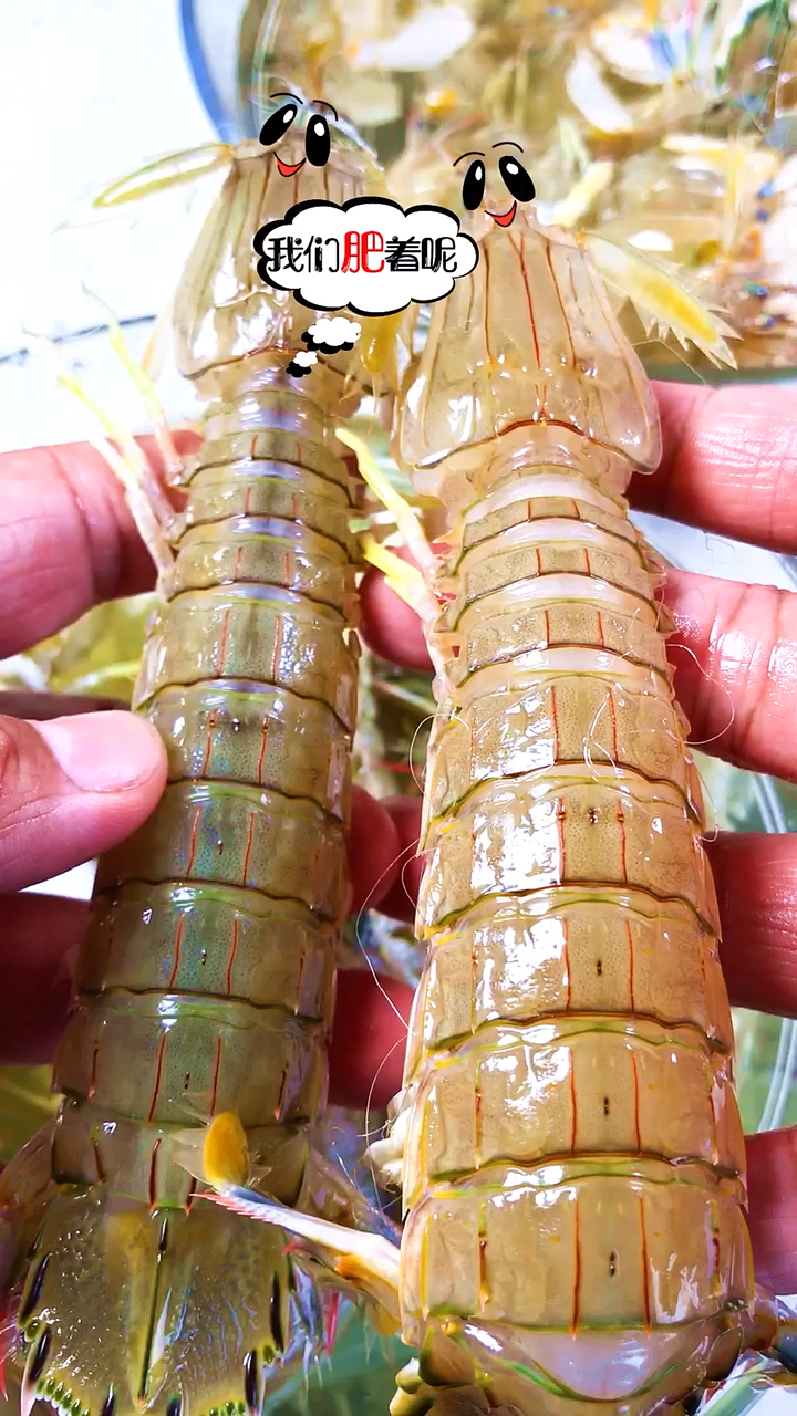 #家乡特色美食#小伙伴们,虾爬额来啦,怎么挑呢?皮皮虾走起!