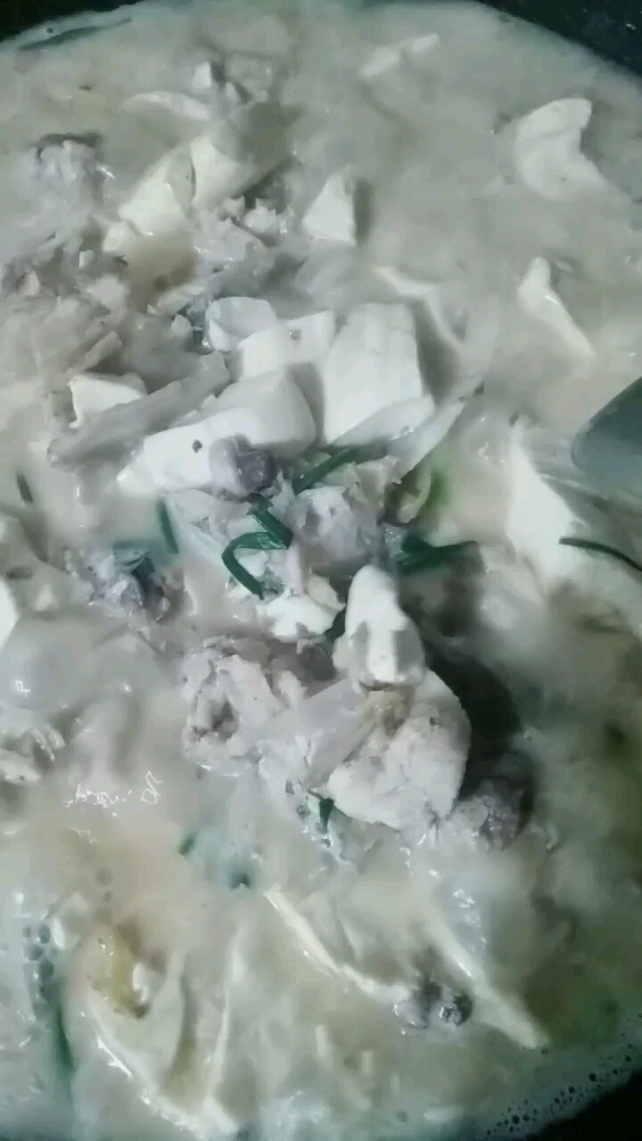 大头鱼鱼头豆腐汤,好吃的很