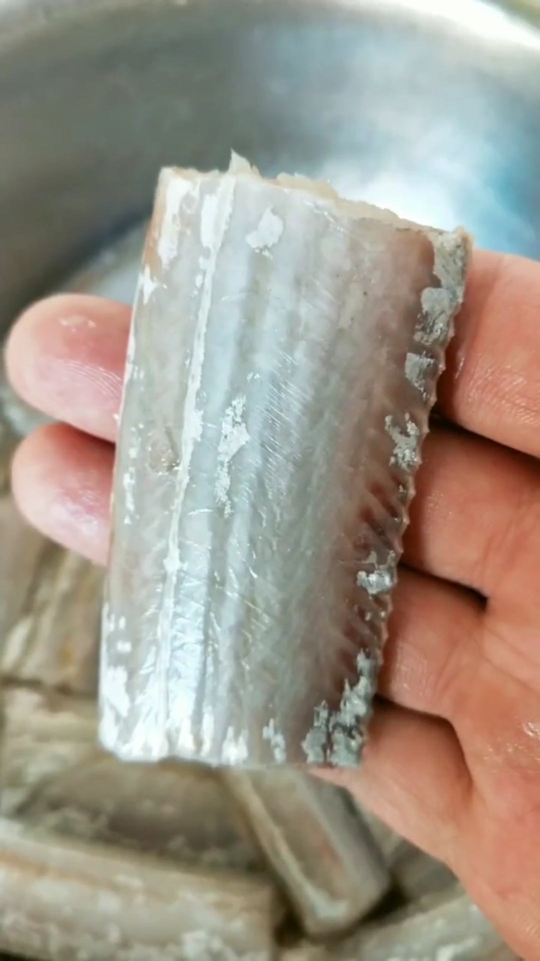 刀鱼怎么做好吃?来我教你。