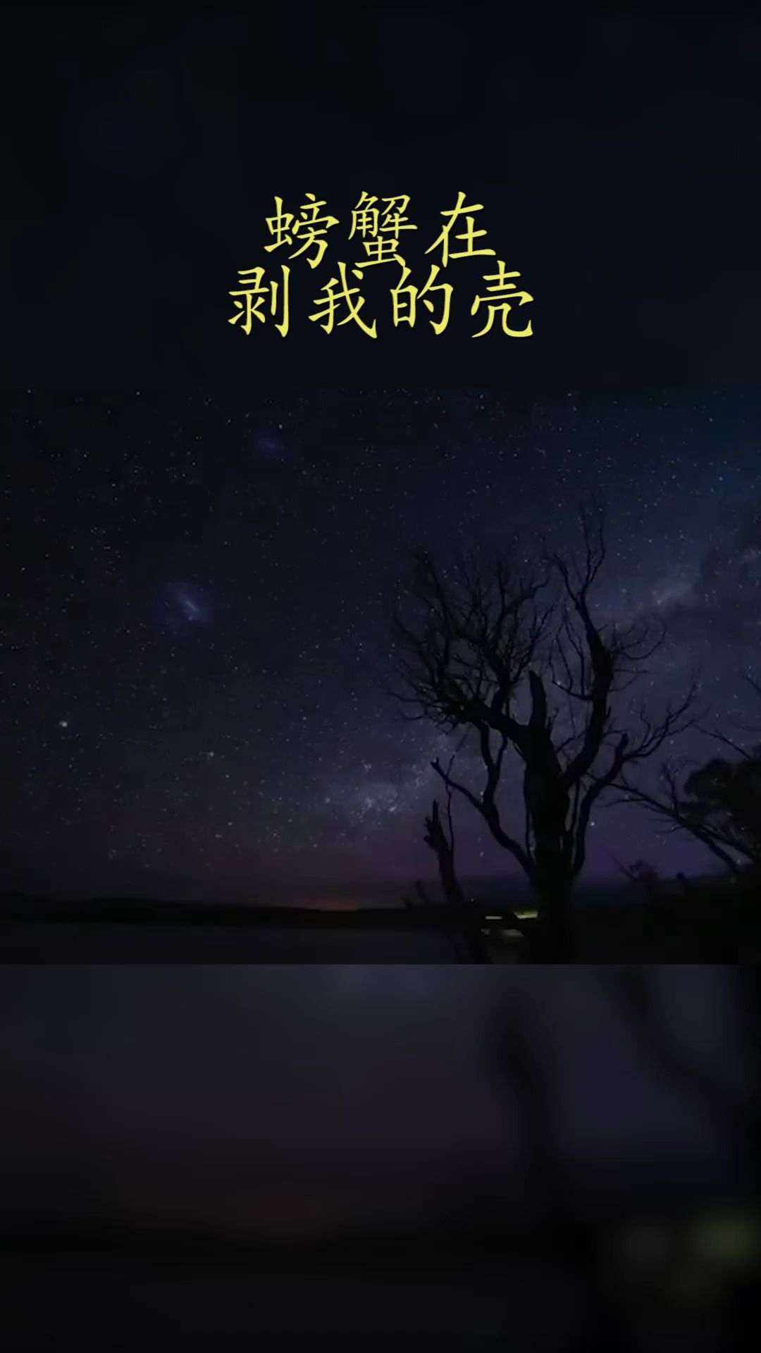 #情感文案#螃蟹在剥我的壳,笔记本在写我,漫天的我落在枫叶上雪花上,而你在想我