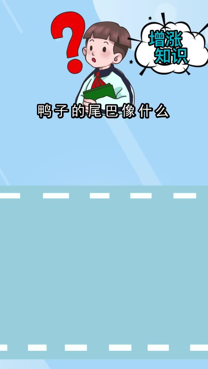 鸭子的尾巴像什么,你懂了吗
