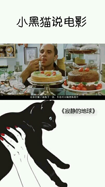 小黑猫说电影