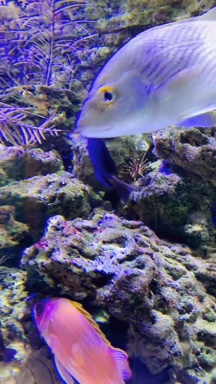 美国海底世界
