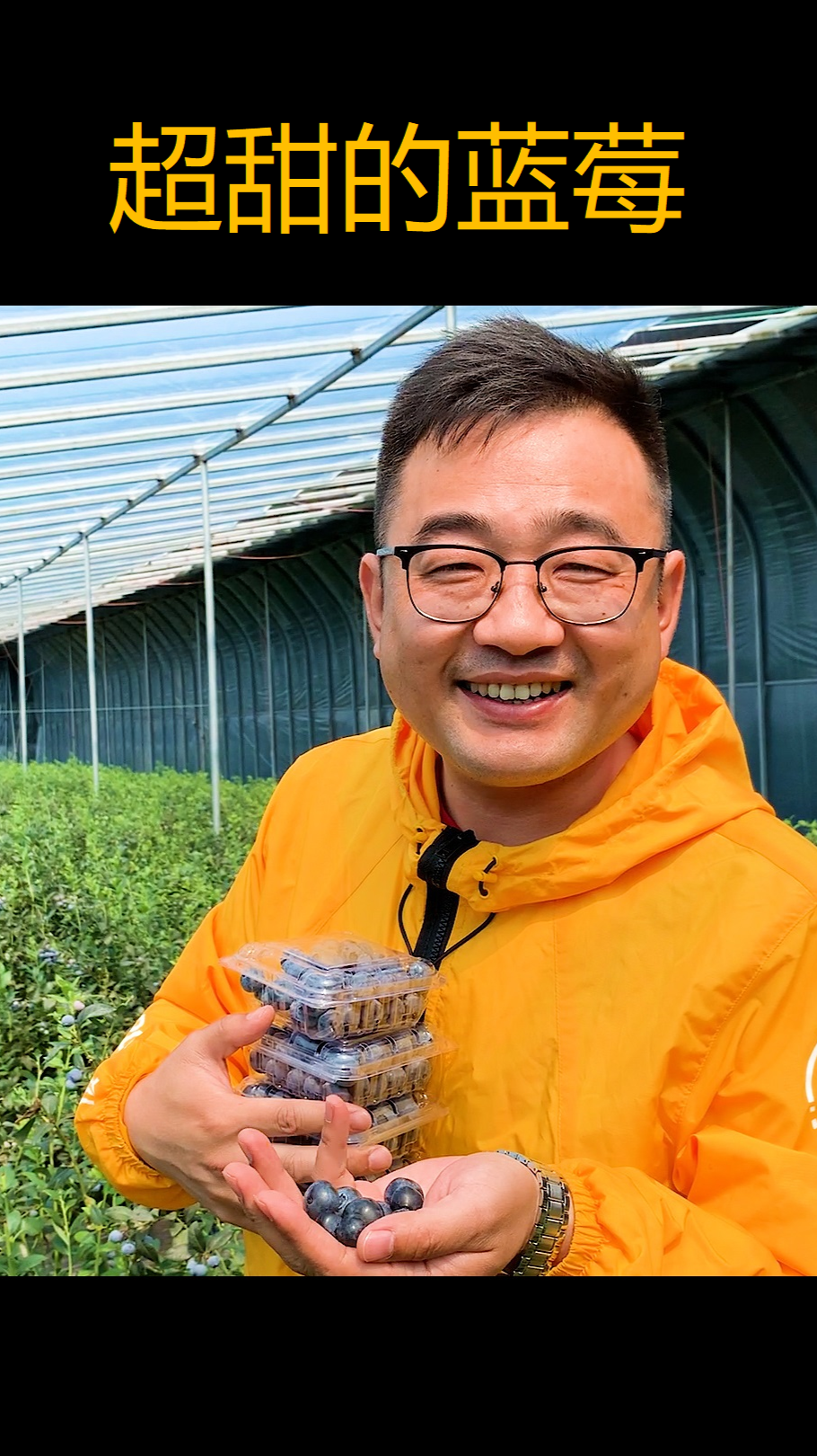#美食#蓝莓这么多品种,哪种更甜呢?