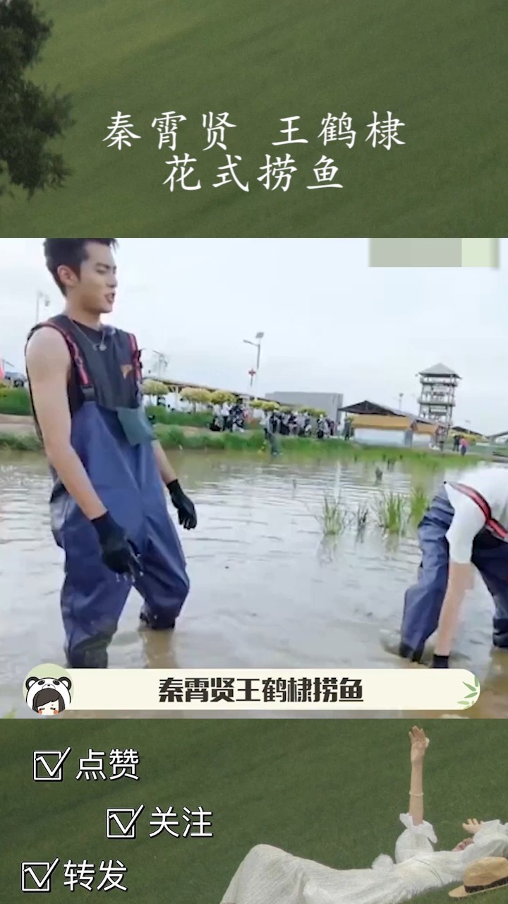 别的我都不好奇,我就想看看你们是怎么捞上来鱼的!#秦霄贤王鹤棣花式捞鱼