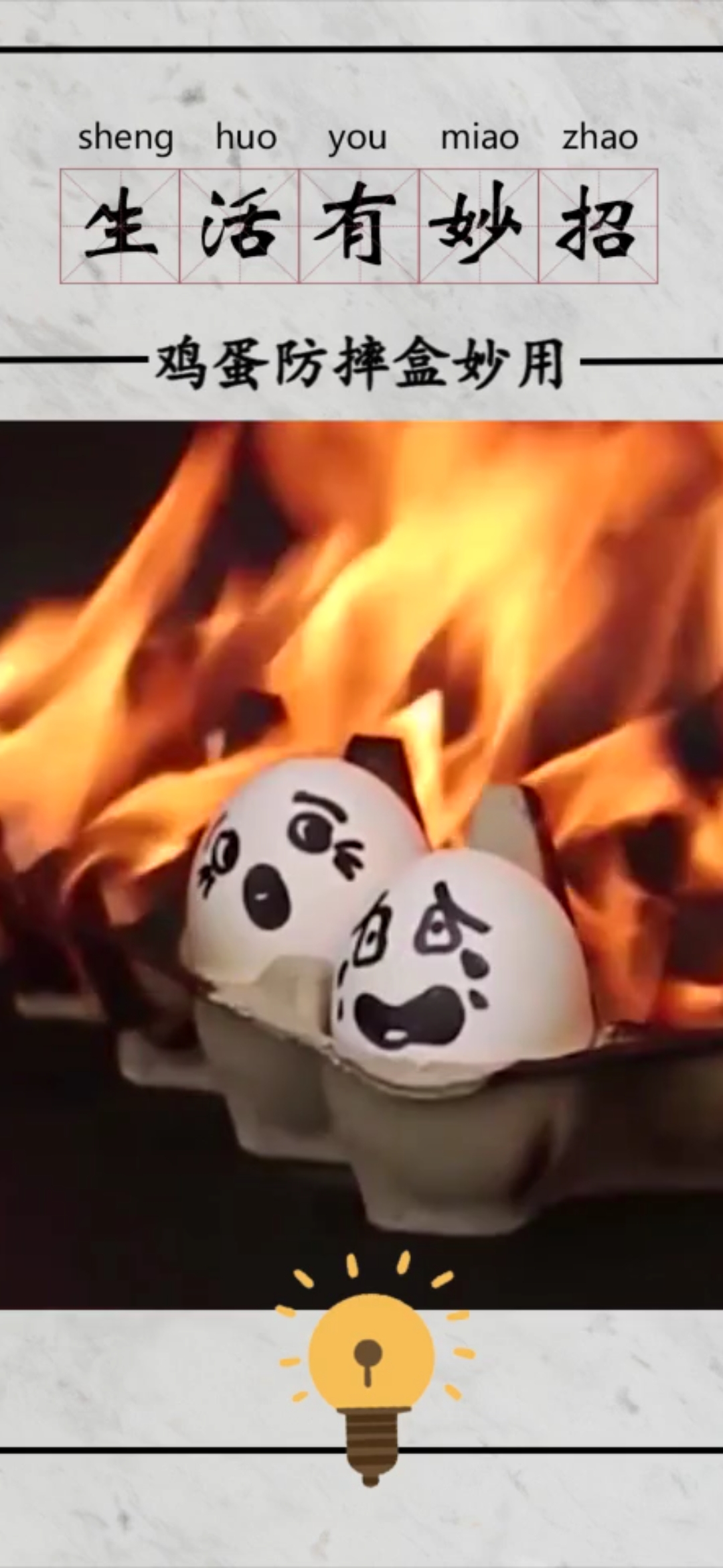 #生活小妙招#生活有妙招:鸡蛋防摔盒的妙用,学会了用处多!!