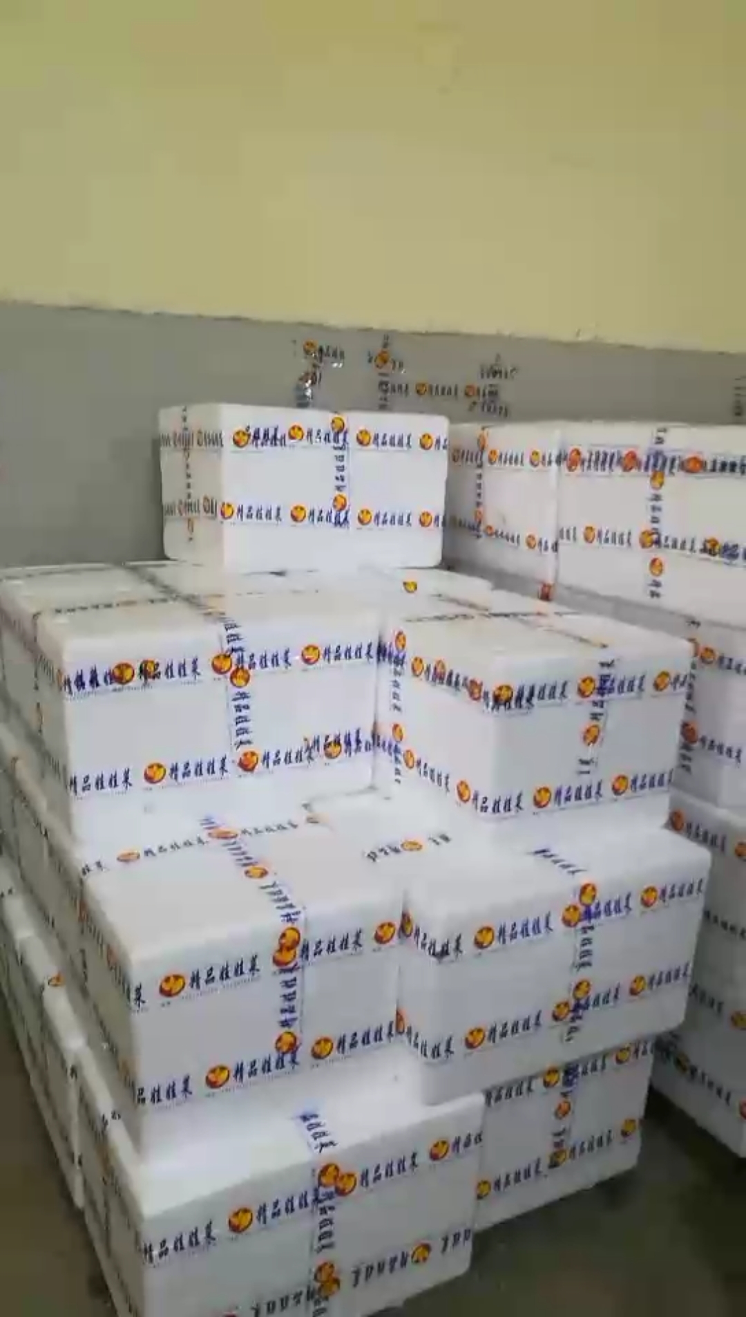 #中国好青年#高山娃娃菜完美包装