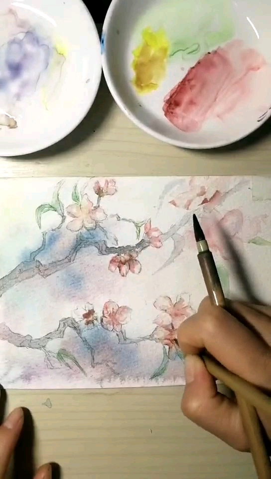 桃花,水彩