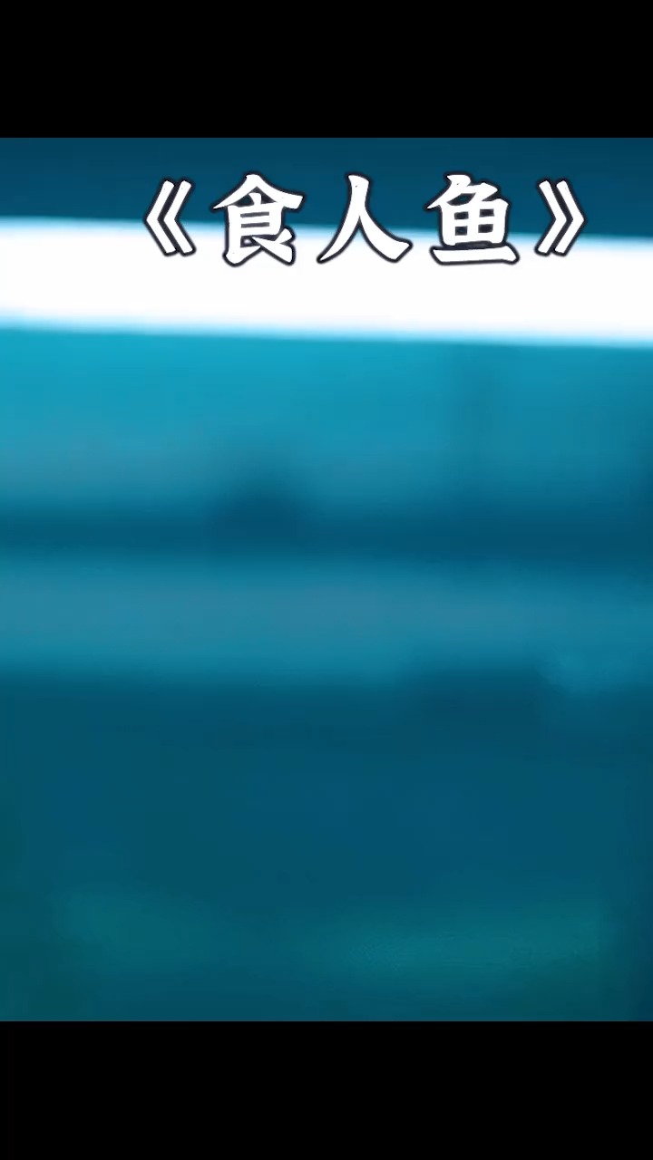 #好看电影#面对远古食人鱼偷袭,你能逃脱吗