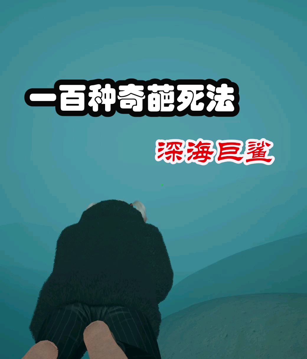海里真的有小鱼,这可爱