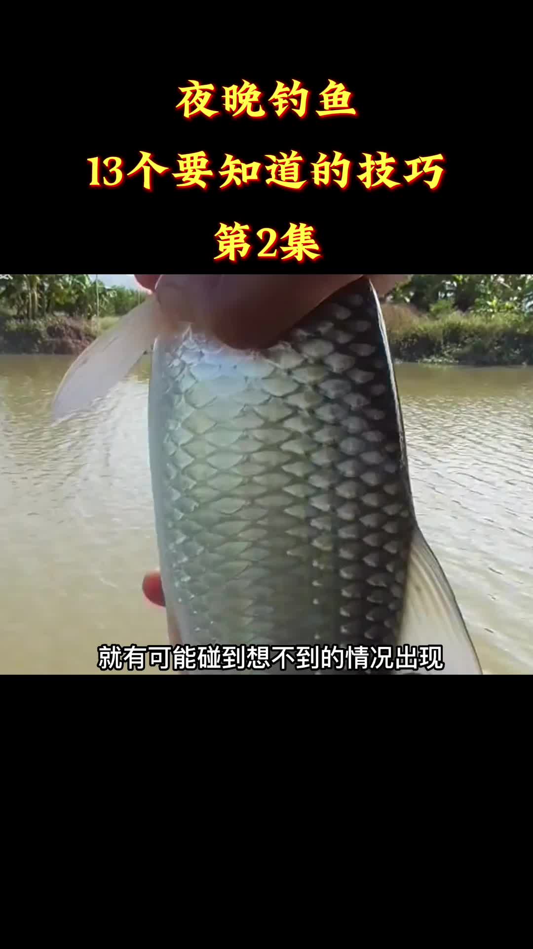 夜晚钓鱼,13个要知道的技巧,第二集