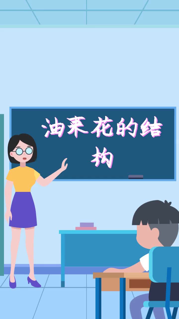 油菜花的结构