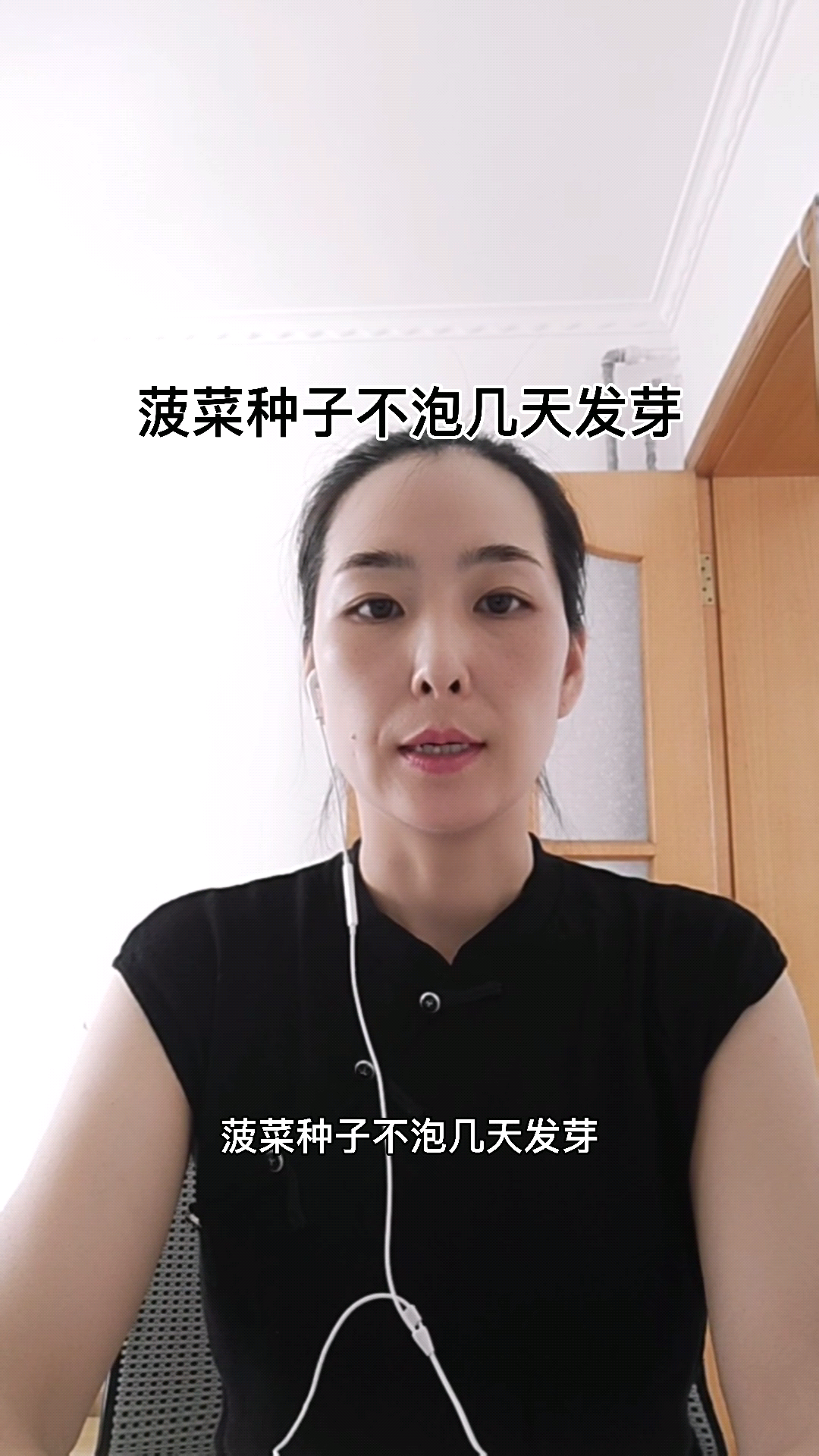 菠菜种子不泡几天发芽