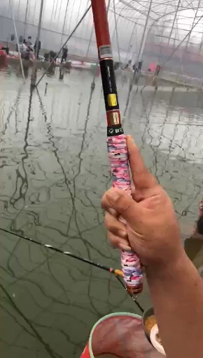 #高碳鱼竿#达瓦红虎腰力十足,高端大气上档次