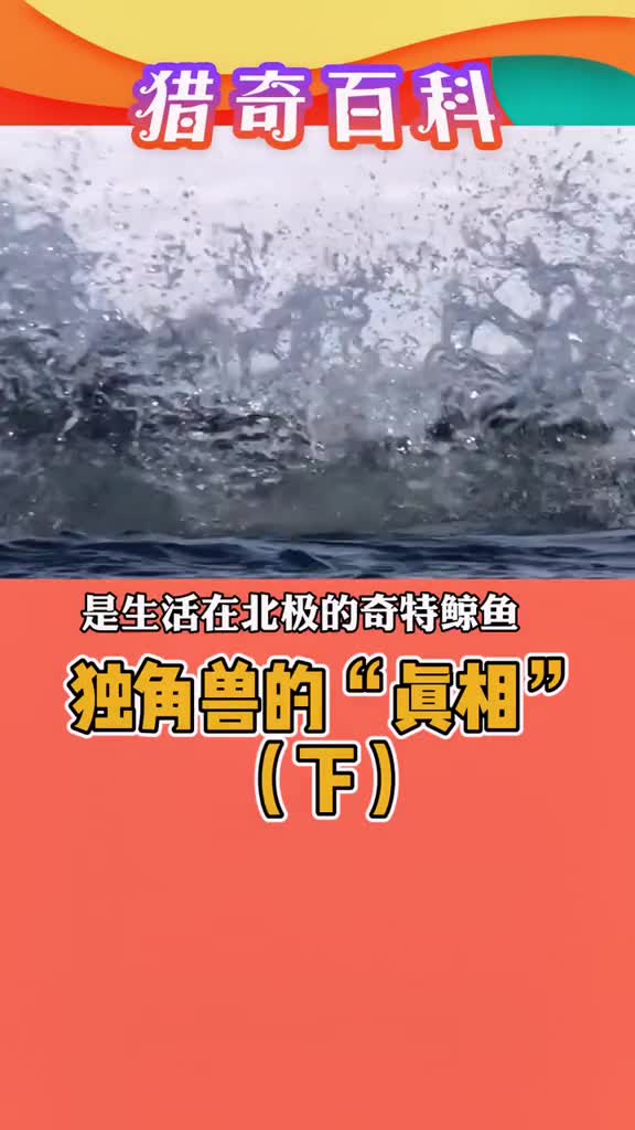 “神兽”的角可真有大用处