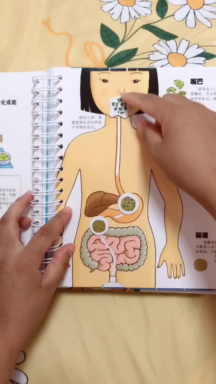 再也不用回答宝宝是从臭臭里捡来的,这本绘本不愧是幼儿必备绘本,生动又好玩,