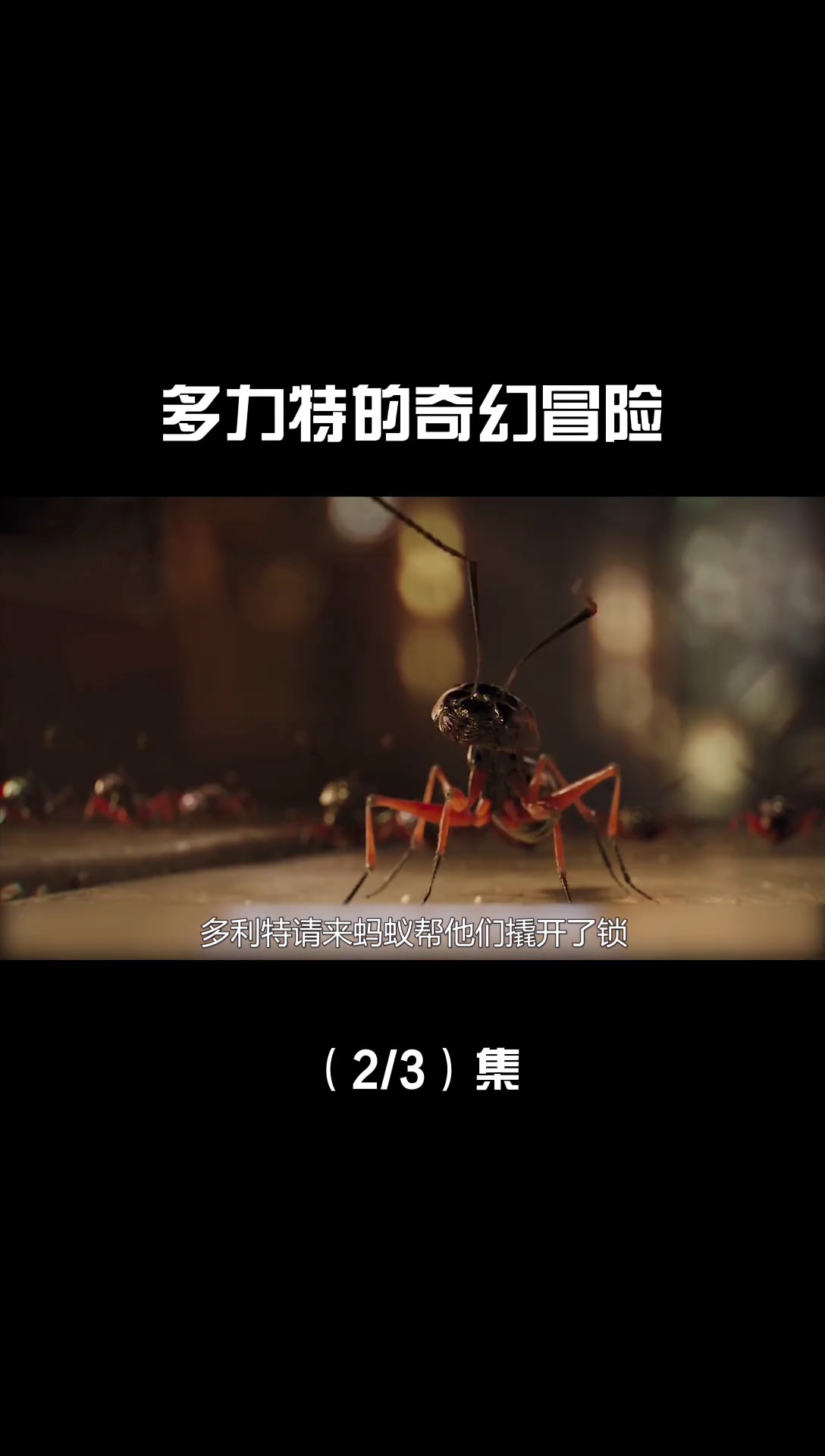 #电影解说#男子为了拯救公主,和白熊出海寻找传说中的伊甸园