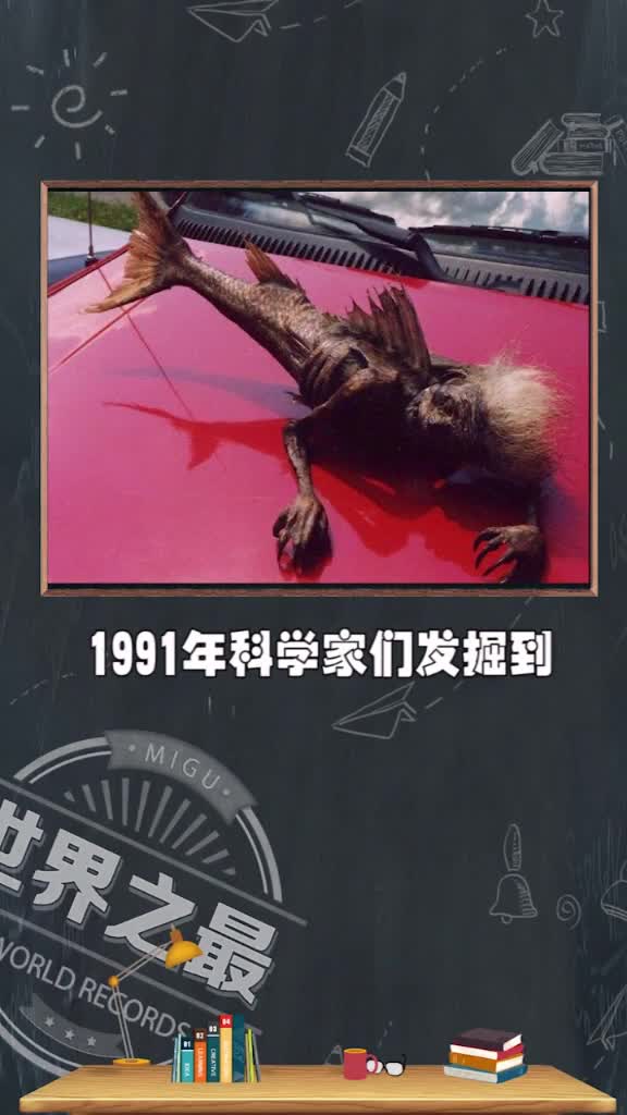 你相信童话里的美人鱼真实存在吗?