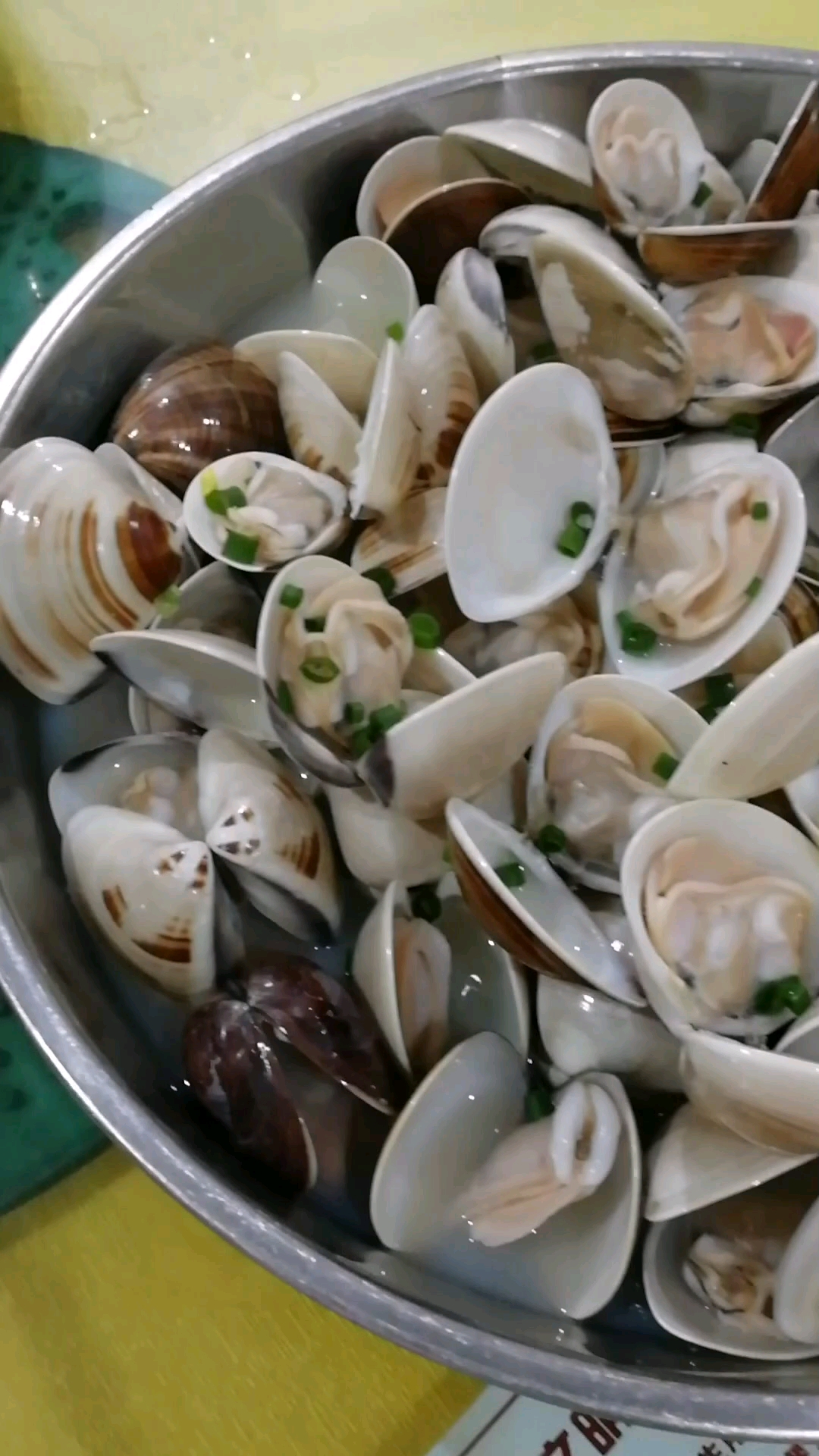 清蒸白仔(文蛤)
