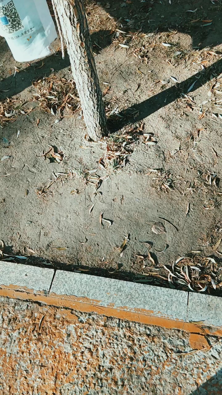 分享视频